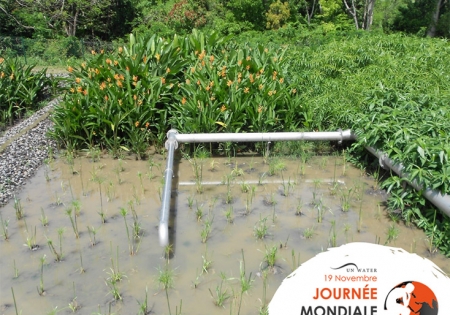 Who cares about toilets? We at CARIBSAN do care about toilets and the sanitation system that support them. 